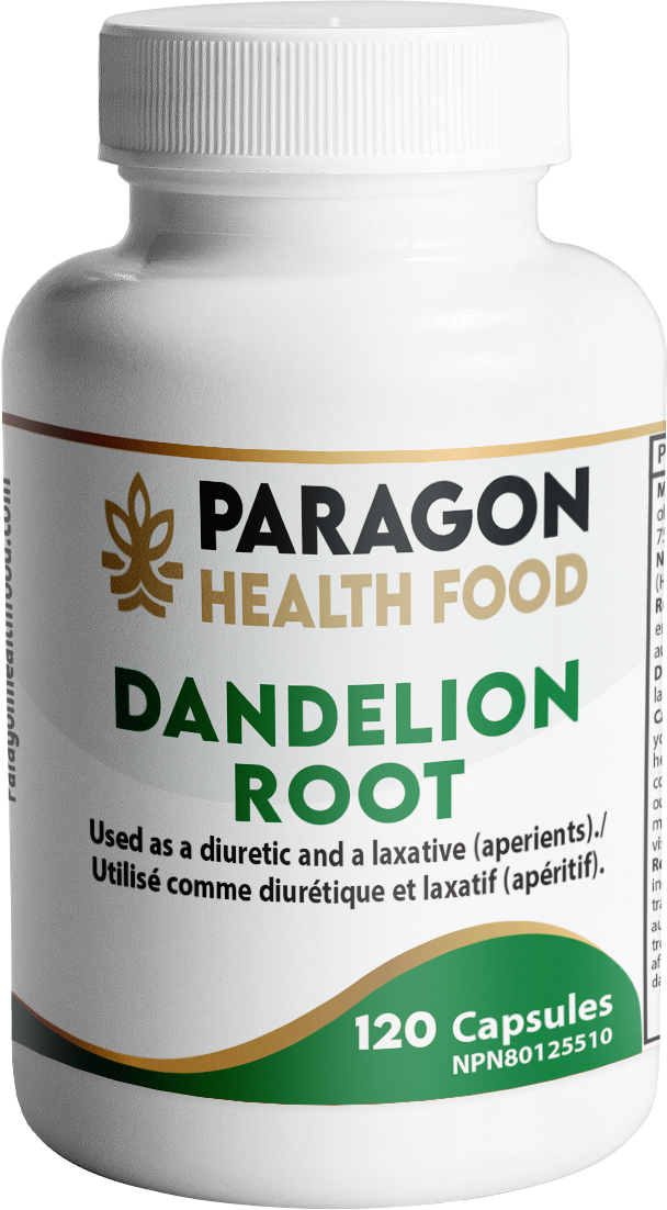 Dandelion Root Capsule | 120 Vegetarian Capsules