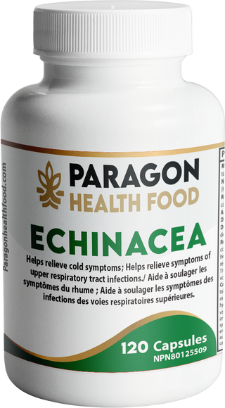 Echinacea Capsule | 120 Vegetarian Capsules