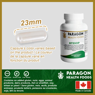 Hyssop Capsule | 120 Vegetarian Capsules