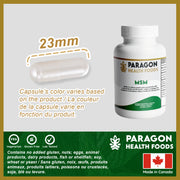 MSM Capsule | 120 Vegetarian Capsules