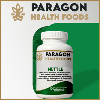Nettle Capsule | 120 Vegetarian Capsules