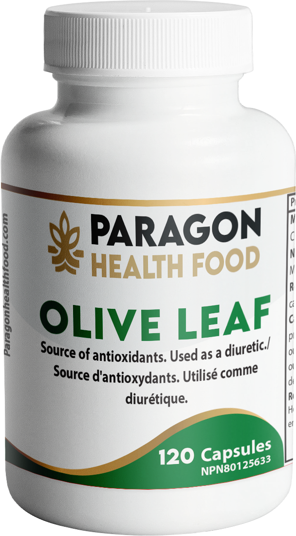 Olive Leaf Capsule | 120 Vegetarian Capsules