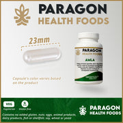 Amla Capsule | 120 Vegetarian Capsules