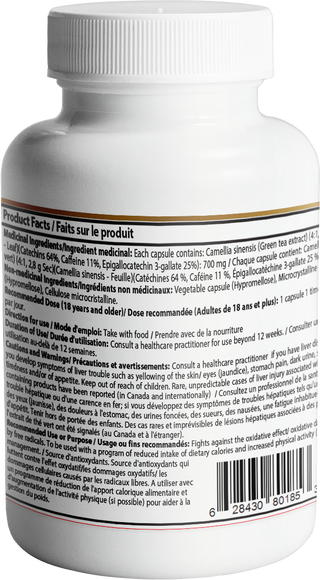 Green Tea Extract Capsule | 120 Vegetarian Capsules