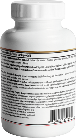 L-Carnitine Capsule | 120 Vegetarian Capsules