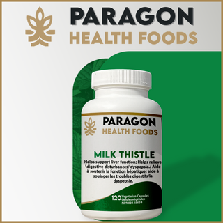 Milk Thistle Capsule | 120 Vegetarian Capsules